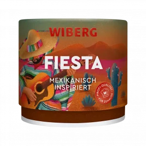 Fiesta Mexikanisch inspiriert Katis Rezeptgeschichten